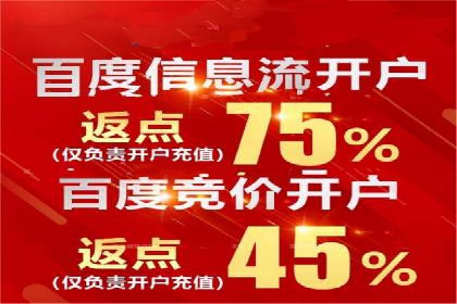 案例剖析：关键词竞价排名成功之道